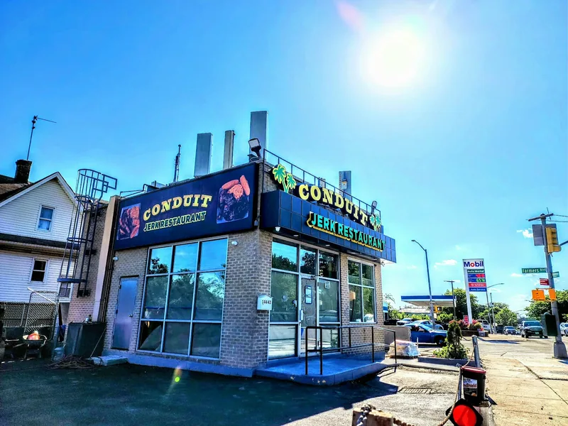 Conduit Jerk Restaurant, caribbean kitchen at 144-43 Farmers Boulevard in Queens, New York