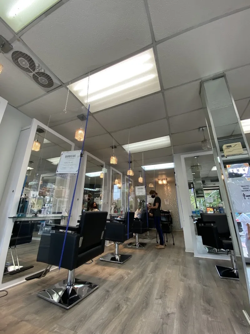 Davidov Hair & Spa