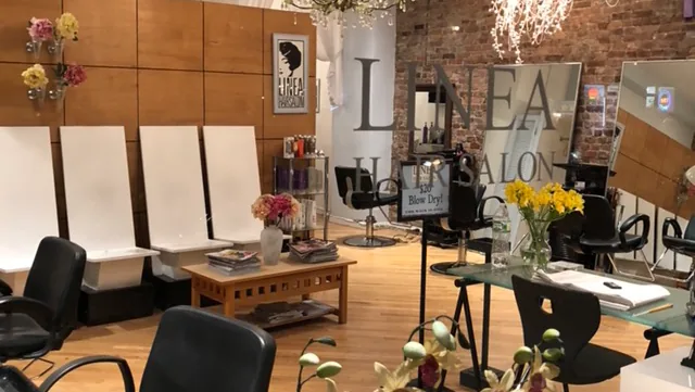 Linea Hair Salon, hair salon at 209 East 29th Street in Manhattan, New York