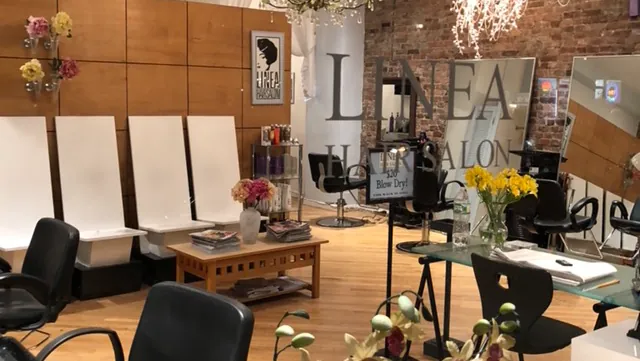 Linea Hair Salon, hair salon at 209 East 29th Street in Manhattan, New York