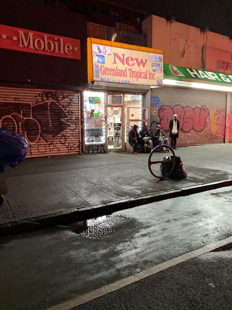 New Greenland Tropical Deli & Grocery, grocery shop at 1737 Doctor Martin Luther King Junior Boulevard in The Bronx, New York