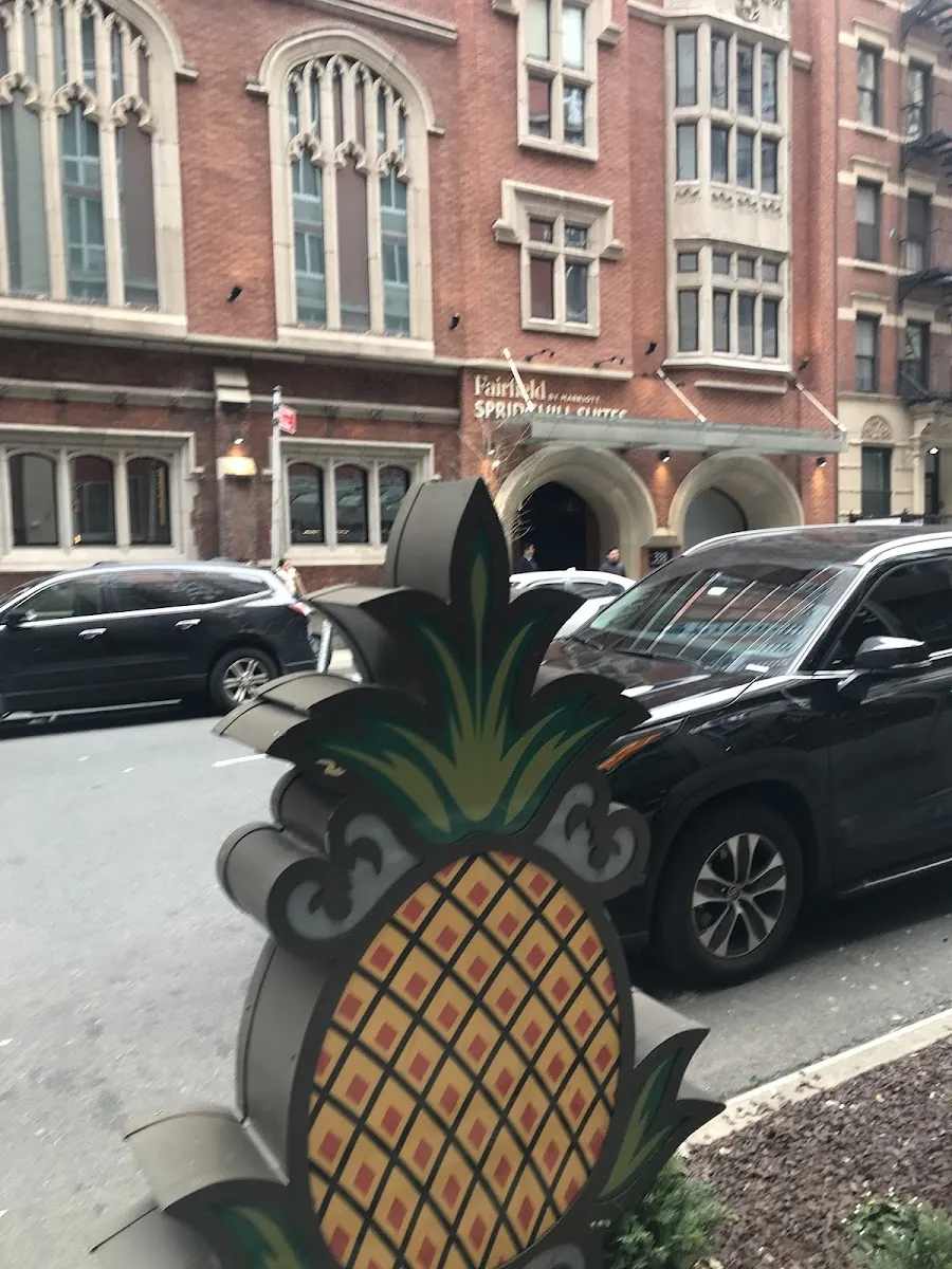 Staypineapple, hotel at 337 West 36th Street in Manhattan, New York