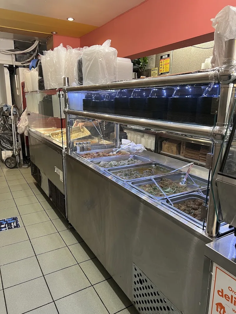 Tandoori Place, indian kitchen at 2146 Starling Avenue in The Bronx, New York